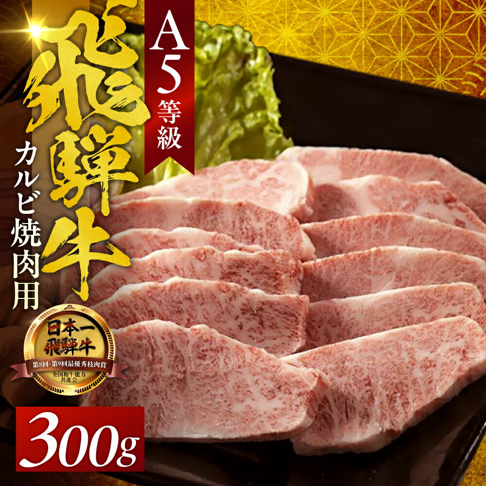【ふるさと納税】 A5飛騨牛カルビ焼肉用 300g（2人前） 霜降り BBQ バーベキュー 飛騨牛 牛肉 肉 黒毛和牛 希少部位 国産 厳選 ブランド牛 お取り寄せ 高級 岐阜県 大垣市