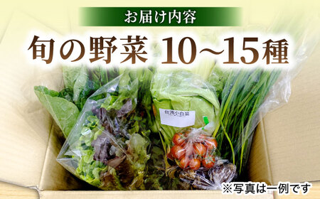 【数量限定】厳選！旬を味わう高槻おまかせ野菜詰め合わせセット 4月（10種～15種）　大阪府高槻市/高槻あぐり[AOCS010] [AOCS010]