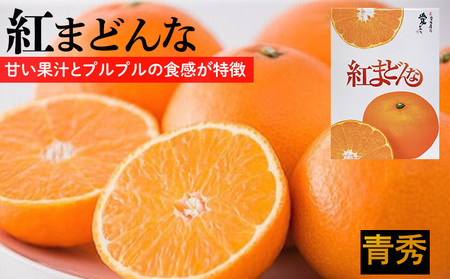  紅まどんな【JAえひめ中央】 青秀　L～2Lサイズ　 （ みかん 柑橘 フルーツ まどんな みかん 愛媛 みかん 紅まどんな 蜜柑 みかん ）【FA0732】