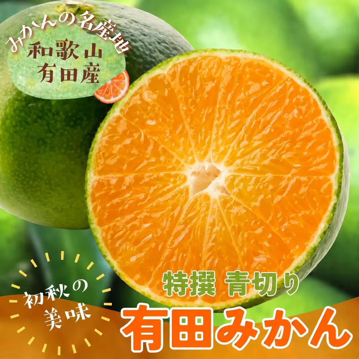 【先行予約】【2026年9月より順次発送】【初秋の美味】【農家直送】特選　青切り有田みかん　約5kg+200g(傷み補償分)　※北海道・沖縄・離島配送不可【ard044D】