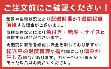 《シャインマスカットが必ず入る！》人気のぶどう 食べ比べセット 計2房（計1kg以上）品種おまかせ 山形産【2025年9月中旬頃～10月下旬頃発送予定】　015-B-JF013