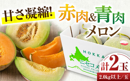 【2026年7月下旬以降順次発送】【ニセコ町産】 赤肉＆青肉メロンセット 大玉2玉 《喜茂別町》【ニセコビュープラザ直売会協同組合】 メロン 化粧箱入り フルーツ 果物 赤肉 先行予約 常温 常温配送
