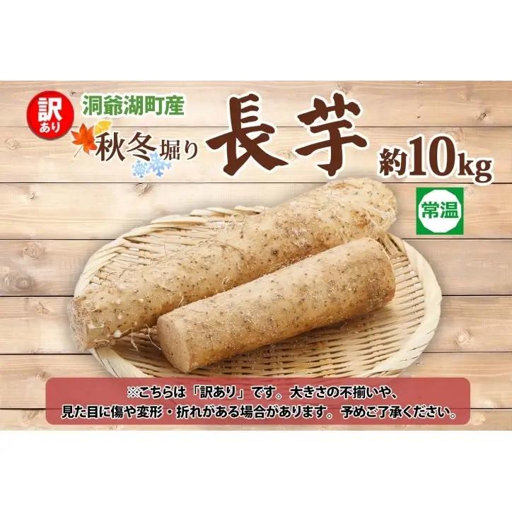 洞爺湖町産 訳あり 長芋 約10kg 2026年12月上旬から順次お届け 長いも