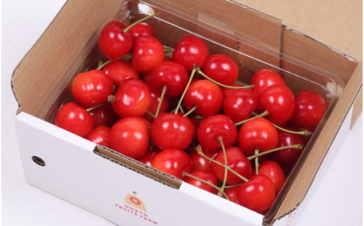 08-03-002　さくらんぼ(佐藤錦)500g