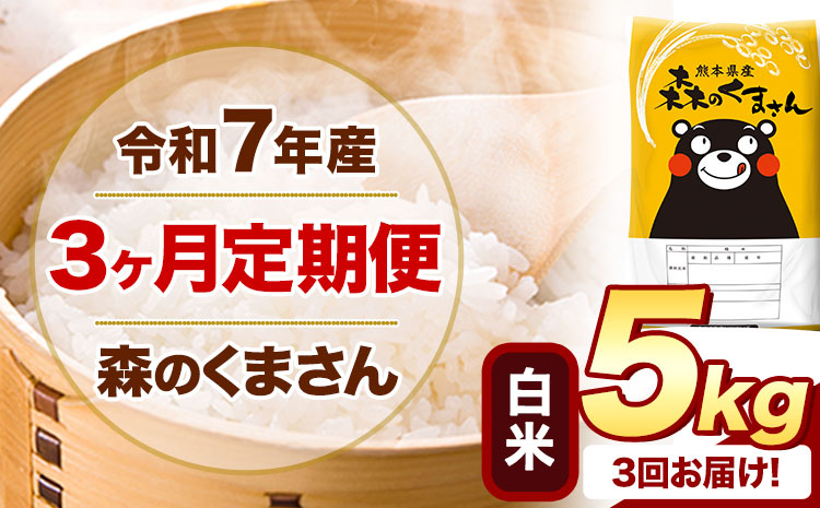 【3ヶ月定期便】 令和7年産 白米 森のくまさん 5kg 5kg×1袋 《お申込み翌月から出荷》 熊本県産 白米 精米 米 こめ コメ お米 kome---mifune_lcl_1397_mo3---
