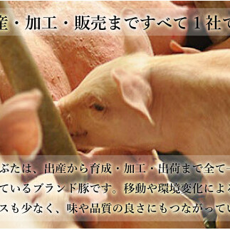 【6回定期便 総計6kg】 ありたぶた ロース とんかつ用 約1kg (1枚約100g×10パック) 6回 定期便 小分け 真空パック 豚肉 N60-3_イメージ5