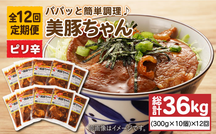 【全12回定期便】美豚ちゃんピリ辛300g×10個セット【長崎フードサービス】 [PEL020]