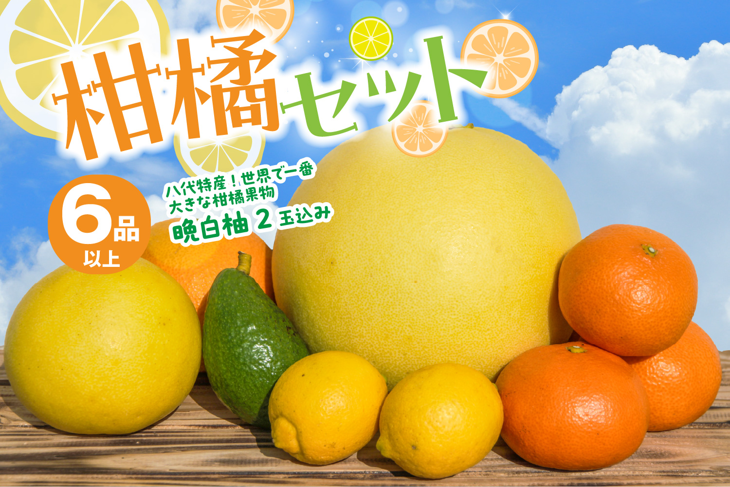 【先行予約】 八代市産 柑橘セット（6品以上・晩白柚2玉入り） 柑橘 みかん 果物 フルーツ 熊本県産 ばんぺいゆ 特産品 【2025年12月上旬より順次発送】