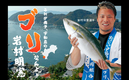 鰤しゃぶ 戸島ぶり しゃぶしゃぶセット 150g 1人前 有限会社 アクアプラス しゃぶしゃぶ D010-090006