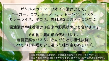 ハラペーニョ 2kg コジカジュ園 農家直送 先行予約 2026年9月上旬