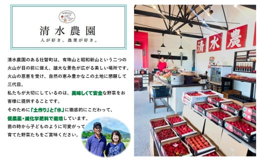 ＜2026年7月上旬よりお届け＞【農園直送】北海道壮瞥産　彩りミニトマト約2.7kg SBTO004