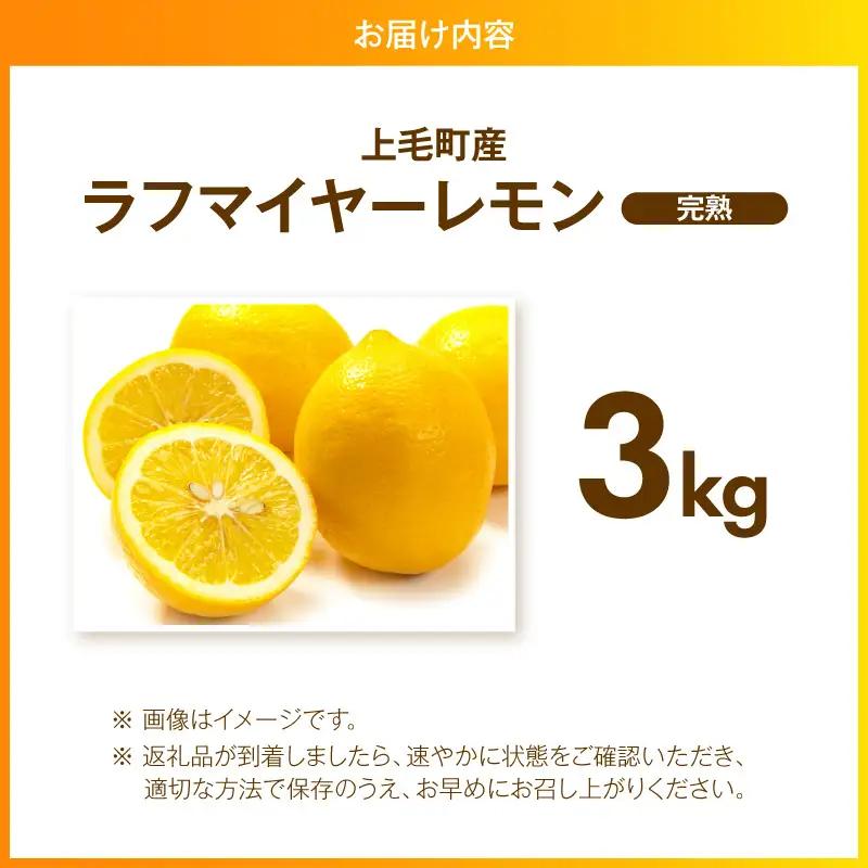 【先行受付】 上毛町産ラフマイヤーレモン 3kg （完熟レモン） _OF0708