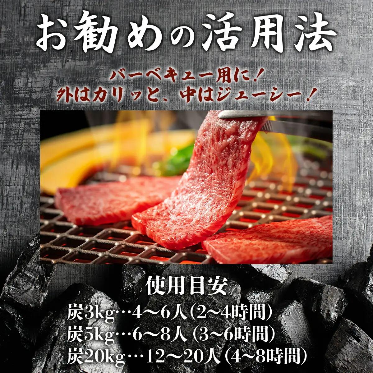 BBQ炭 上土佐備長炭（小サイズ）10kg  S177 [S-170] 【株式会社森海家】