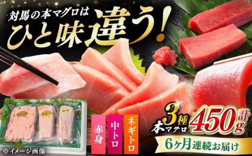 【全6回定期便】対馬産 本マグロ 3種 計450g（赤身/中トロ/ネギトロ）《対馬市》 【対海】[WAH013] マグロ まぐろ 鮪 本鮪 本マグロ 養殖 トロ 中トロ 中とろ 赤身 ねぎとろ ネギトロ たたき 刺身 冷凍 海鮮 魚 柵 お祝い 贈答 定期便 毎月届く
