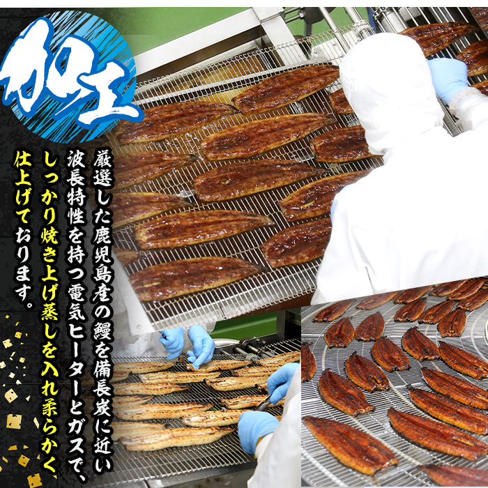 s641 【隔月・定期便3回】鹿児島県産 鰻蒲焼真空2尾セット！(計約840g・約140g×2尾×3回) 鹿児島 九州産 国産 うなぎ ウナギ 鰻 土用の丑の日 蒲焼き うな重 ひつまぶし 定期便 隔