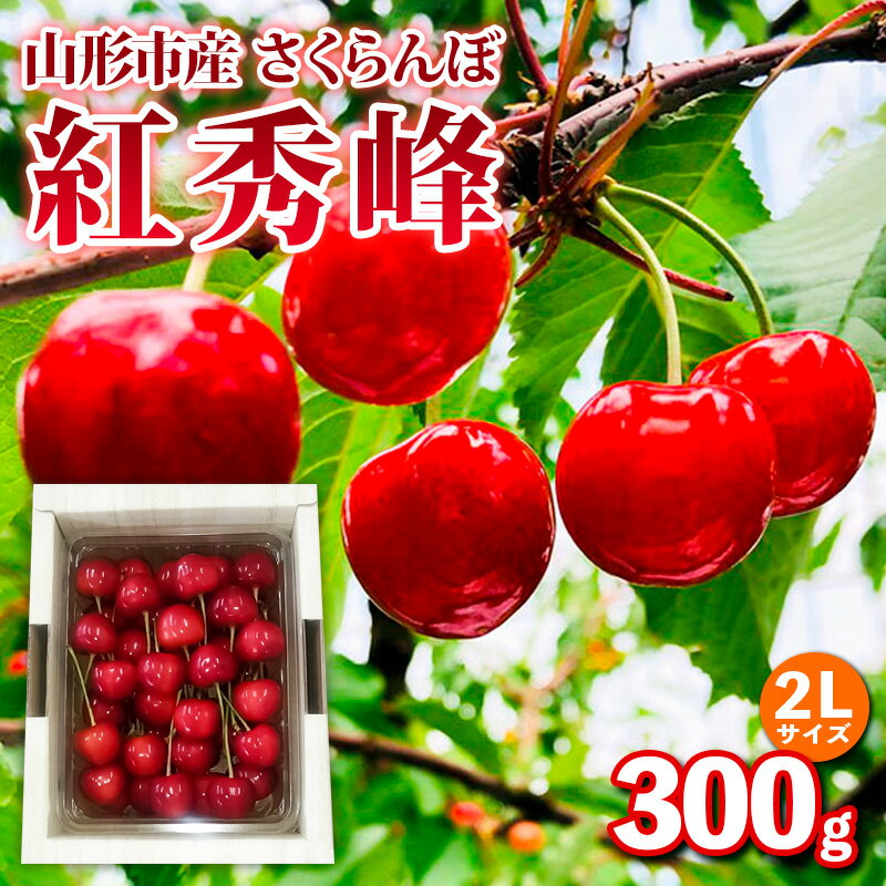【ふるさと納税】山形市産 さくらんぼ【紅秀峰】2Lサイズ 300g バラ詰め【令和8年産先行予約】FS25-033