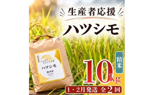 ＜発送月固定定期便＞＜先行予約＞生産者応援!岐阜県産ハツシモ(精米)10kg＜1・2月＞全2回【4089362】