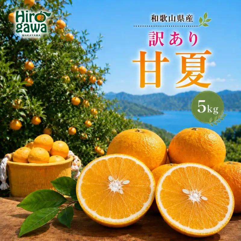 甘夏 訳あり 5kg / 和歌山 有田 広川 あまなつ 訳あり 柑橘 果物 くだもの ギフト フルーツ 果実 ※2027年3月上旬～3月下旬頃に順次発送予定【hkt023-c-5】