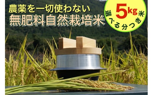 【胚芽を残した精米】米 令和7年産 自然栽培米 にこまる ＜農薬を一切使わない無肥料栽培＞ 分つき米 5kg・精米したて 《米 京都丹波産 無農薬米栽培向き 厳選品種》