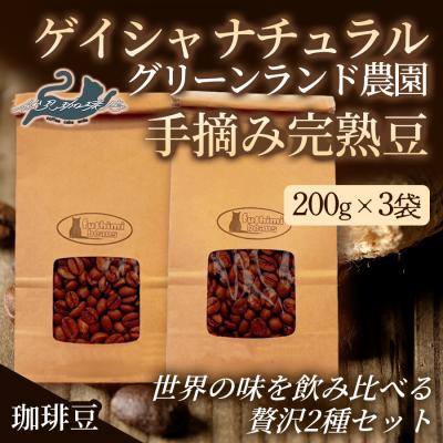 ふるさと納税 福島市 世界の味飲み比べ贅沢2種セット【豆】200g×6袋  1セット 伏見珈琲店No.3289