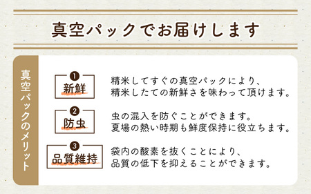【6ヶ月連続お届け】令和7年産 特別栽培米 コシヒカリ匠 4kg（2kg×2袋）×6回 計24kg 節減対象農薬当地比5割減【白米】お米 コシヒカリ [J-2909_01]