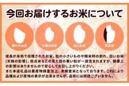 米 こめ 岩出市応援米 約5kg 《30日以内に出荷予定(土日祝除く)》 米米米