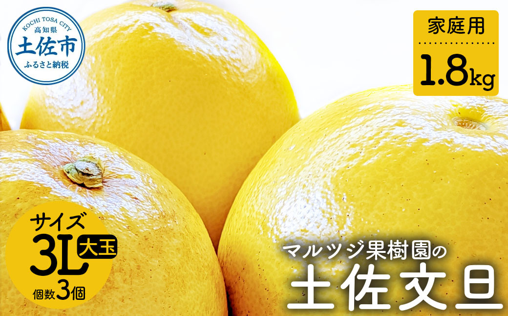 
                  【先行予約】マルツジ果樹園の土佐文旦 家庭用 大玉（3Lサイズ）約1.8kg（3個入り） 文旦 ぶんたん 土佐 柑橘 高知県産 フルーツ お取り寄せ 先行予約 高知県 土佐市【マルツジ果樹園】[BQAN016]
                