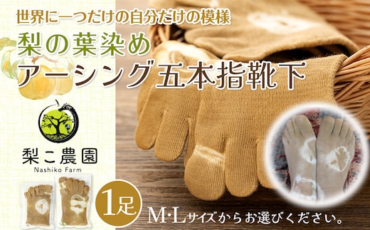 
										
										梨の葉染め アーシング 五本指靴下 1足 コットン100％ コットン 靴下 ソックス 五本指 五本指ソックス 5本指 5本指靴下 5本指ソックス ファッション ファッション小物 長野 長野県 箕輪町Mサイズ
									
