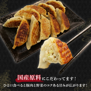冷凍餃子 120個 餃子 国産豚肉 ぎょうざ ギョーザ