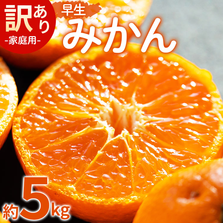 【ふるさと納税】家庭用 訳あり 早生みかん（Lサイズ）約5kg - 送料無料 フルーツ 果物 果実 温州みかん ミカン 柑橘 甘い あまい おいしい ご自宅用 旬 季節限定 かなや農園 合同会社Benifare 国産 特産品 高知県 香南市【常温】