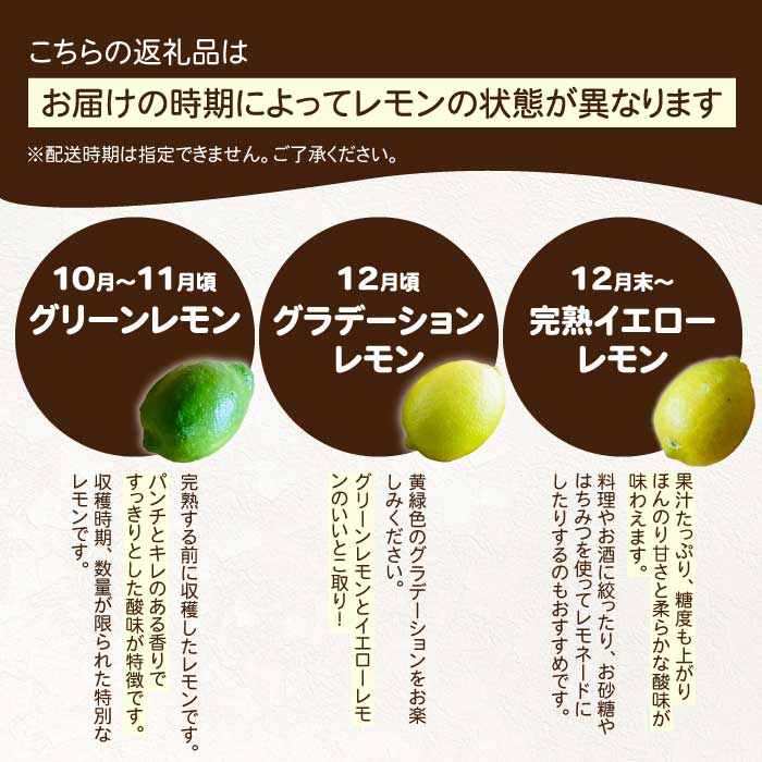 【おくはち農園】レモン 2.5kg 《2026年11月～2027年3月発送予定》栽培期間中 防腐剤 ワックス 不使用 旬 柑橘 かんきつ フルーツ 果物  166021