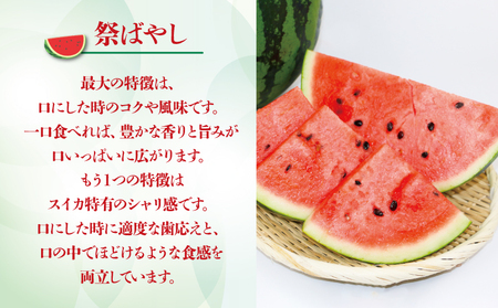 えひめ 山すいか 7kg ～ 8kg 一玉 Lサイズ フレッシュつちやま 西瓜 すいか 大玉 大玉西瓜 大玉スイカ 祭ばやし 甘泉 品種 おまかせ 果物 フルーツ 期間限定 旬 産地直送 数量限定 国