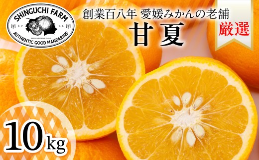 ＜木成り完熟＞甘夏 10kg 『ほのかな苦味とスッキリした甘み』＜E70-27＞【1470661】 YWTK027