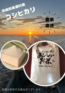 【令和8年産】コシヒカリ 精米 10kg【茨城県共通返礼品　美浦村産】 ※2026年10月～発送