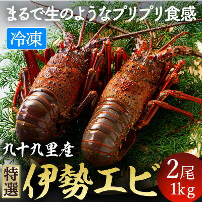 【ふるさと納税】 伊勢海老 リキッド凍結伊勢海老 刺身用 2尾 約1kg 九十九里 新鮮 刺し身 刺身 さしみ 真空 冷凍 旨味 甘み 鮮度 美味しい 贅沢 ご褒美 豪華 ギフト プレゼント 贈答 贈答用 記念日 家族 友人 パーティー 不動丸 千葉県 旭市