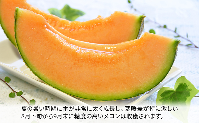 【2026年8月下旬より発送】北海道 富良野 メロン 赤肉 約2.1kg