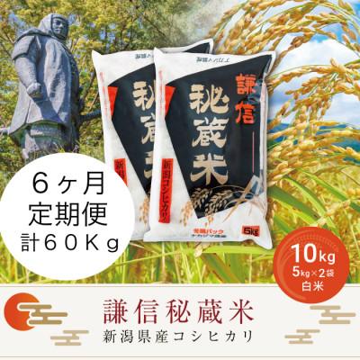 ふるさと納税 上越市 【毎月定期便】謙信秘蔵米10kg全6回