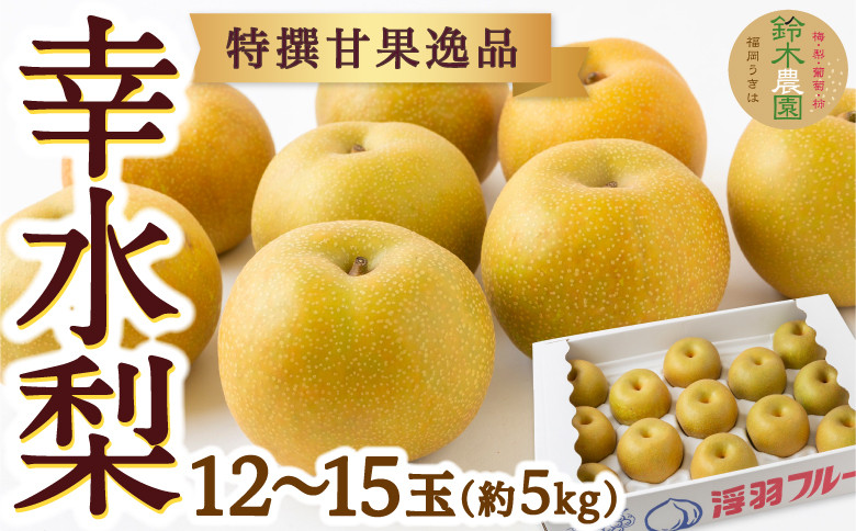 
            【先行予約】鈴木農園 特選甘果逸品 幸水梨 12玉から15玉 (約5kg) 2025年7月下旬から8月中旬 出荷予定
          