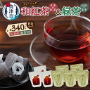 【ふるさと納税】 紅茶 和紅茶 静岡茶 緑茶 静岡 国産 ティーバッグ 2種類 セット 8袋 FORIVORA a30-259