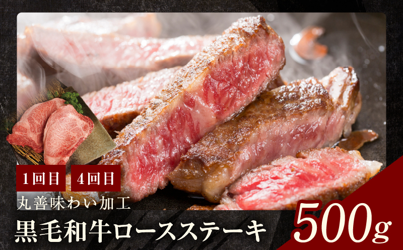 黒毛和牛 定期便 全6回 （ステーキ／焼肉／すき焼き・しゃぶしゃぶ） 12万円コース 丸善味わい加工【毎月配送コース】 099Z240