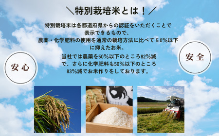 特栽つきあかり 玄米2kgを精米したて白米発送 au010m01