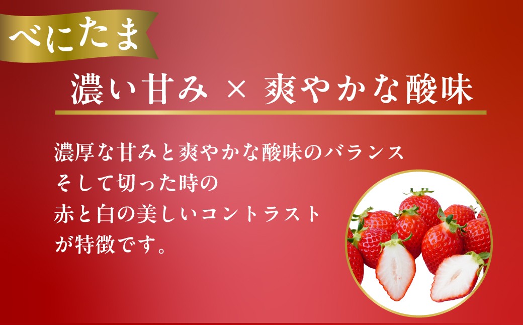 人気のいちご品種 べにたま。甘さと酸味のバランス、赤と白の美しい見た目の苺です。