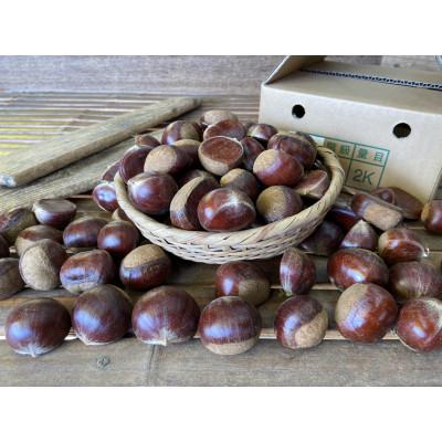 ふるさと納税 かすみがうら市 茨城県かすみがうら市産　熟成倉方栗(生栗)約2kg〈2025年11月中旬より順次発送予定〉