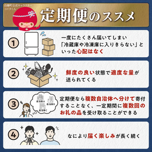 しらぬか海の恵みセット'24-'25【年3回定期便】_I050-1238