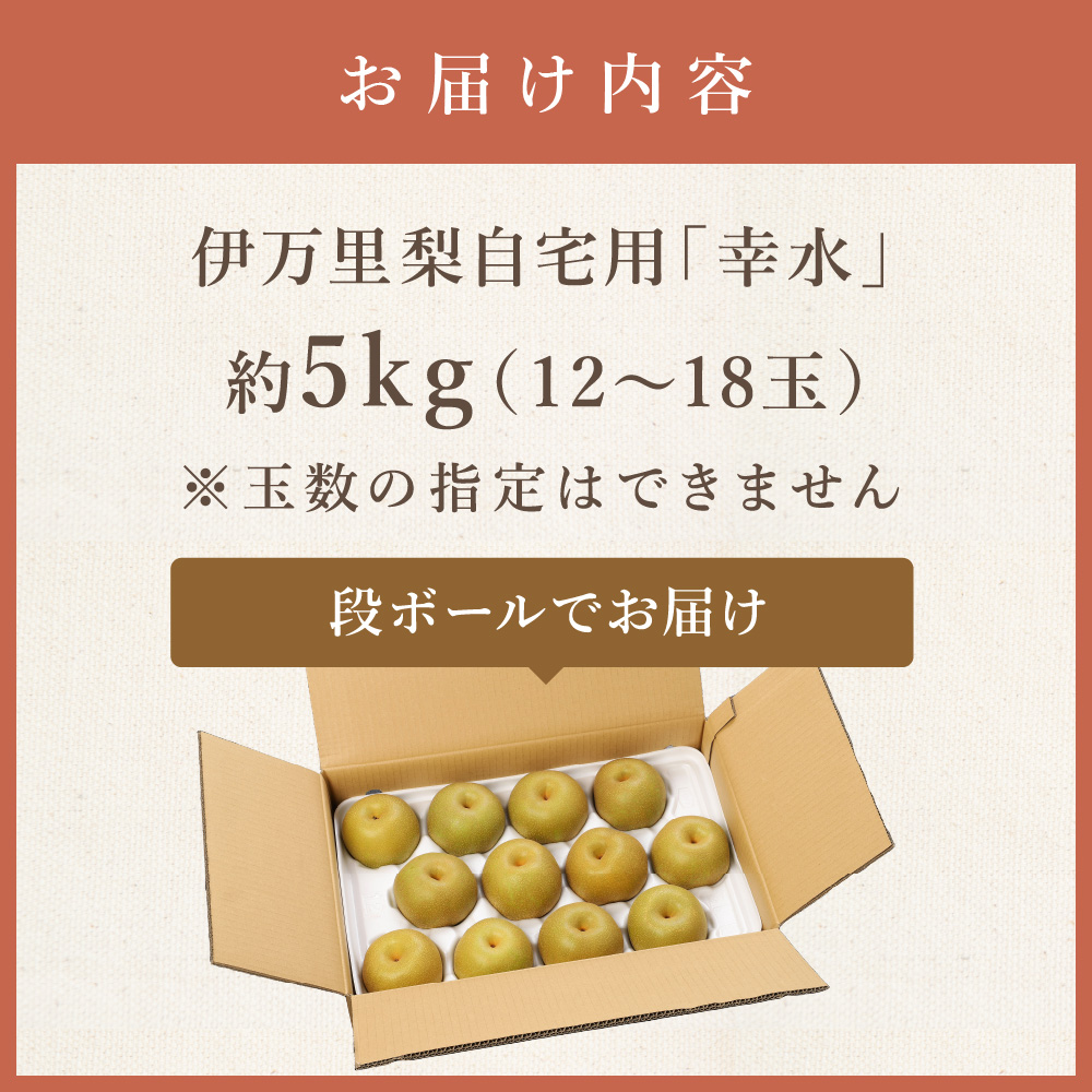 【2025年産先行予約】伊万里梨 「幸水」 約5kg ご自宅用におすすめ B160