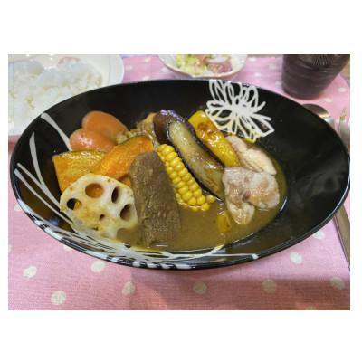 ふるさと納税 南富良野町 エゾ鹿&南ふらの野菜スープカレー　3袋セット |  | 02