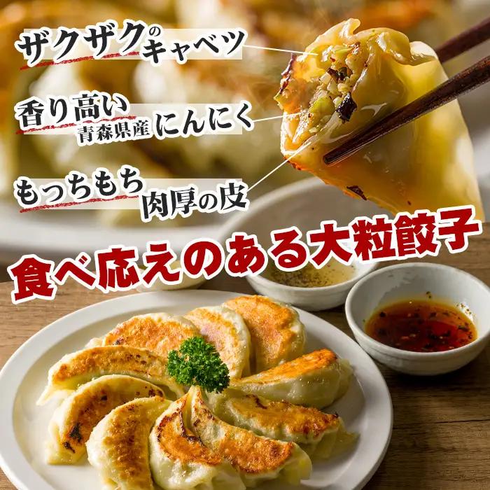 ＜10営業日以内に発送予定＞ぴあの手包餃子(50個) ぎょうざ 惣菜 おつまみ 冷凍 【障害者地域生活支援センターぴあ】【ms06-01】