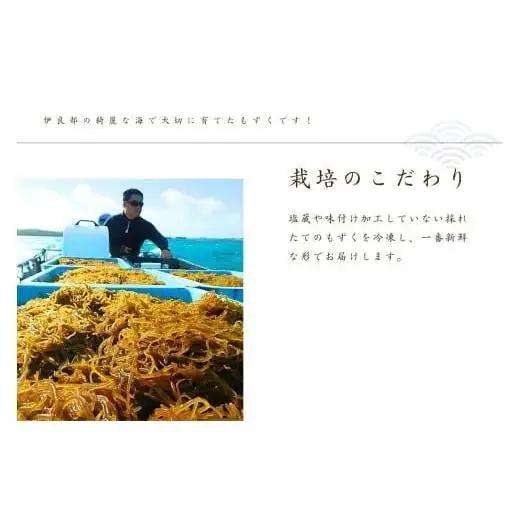 養殖もずく　5個セット 沖縄 宮古島 ふるさと納税 おすすめ 人気 もずく モズク 海藻 ミネラル 海 食 （FU002）