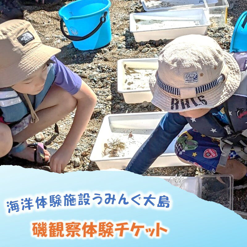 【ふるさと納税】海洋体験施設うみんぐ大島 磯観察1名様分【(株)むなかた大島】_HA2026 体験 チケット 福岡県宗像市 宗像市 福岡 宗像