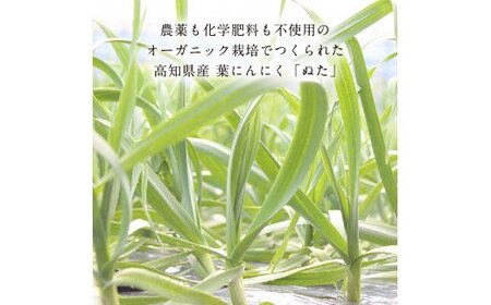 緊急支援 人気海鮮 芸西村厳選1本釣り本わら焼き「芸西村本気の極カツオのたたき（9～11人前）有名番組で紹介の有機無添加土佐にんにくぬた・タレ付き」かつお タタキ 海鮮 藁焼き 鰹 塩 ランキング〈高